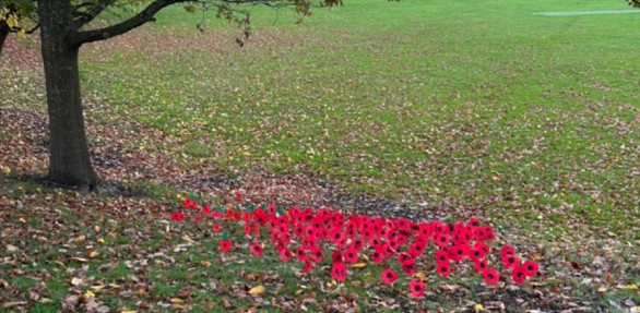 A photo of the poppy display at West Hill School