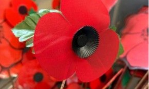 Poppies made by students at West Hill School